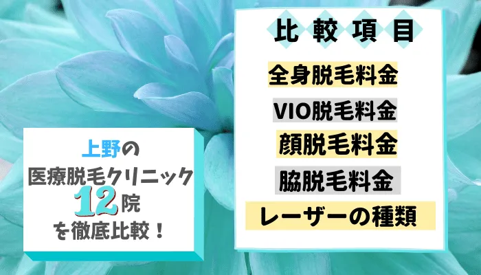 上野の医療脱毛クリニック12院を徹底比較