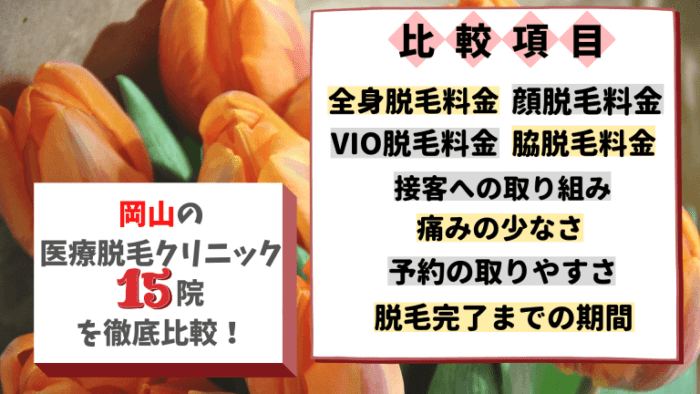 岡山の医療脱毛クリニックおすすめ5選 料金が安い全15院を徹底比較しました しろねこ脱毛