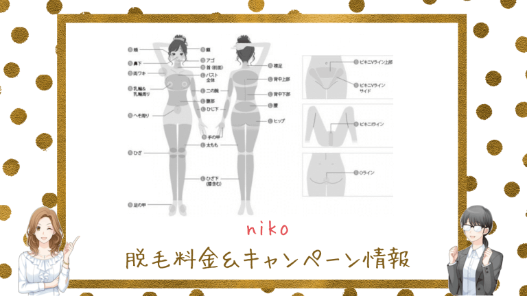 niko料金＆キャンペーン