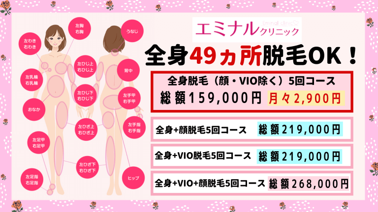 エミナルクリニック横浜院脱毛料金