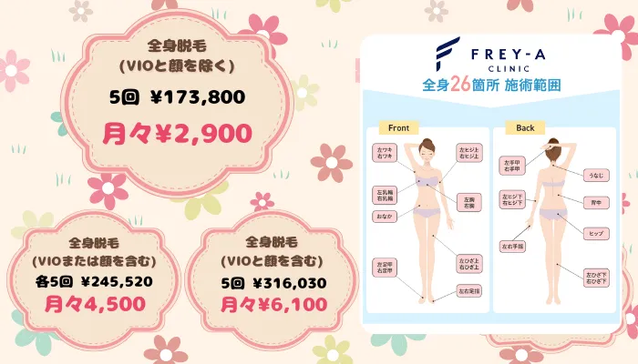 フレイアクリニック全身比較料金右