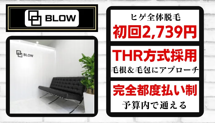 BLOW比較