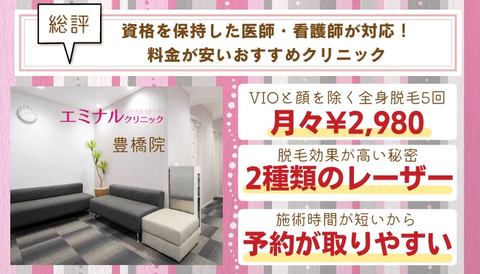 エミナルクリニック豊橋総評