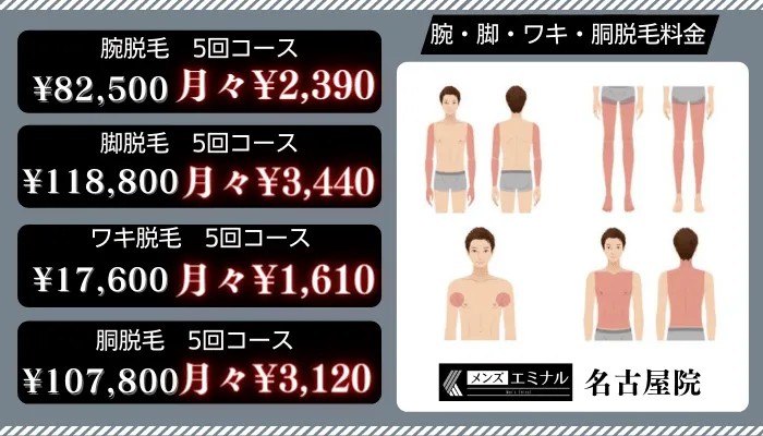 メンズエミナル名古屋腕・脚・ワキ・胴脱毛料金