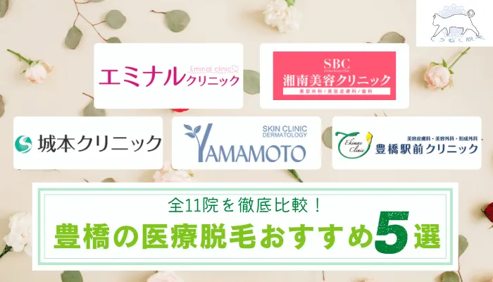 豊橋の医療脱毛おすすめ5選 永久脱毛可能な料金が安い全11院を全身 Vio 顔 脇の部位別に徹底比較しました しろねこ脱毛