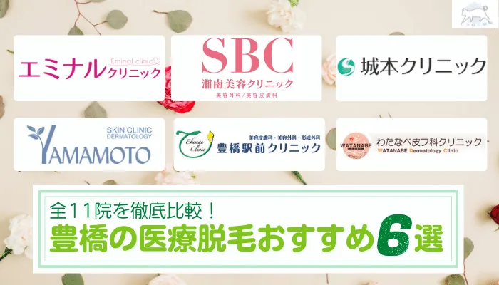 豊橋でおすすめの安い医療脱毛6選 全11院の全身 Vio 顔 脇ごとに徹底比較