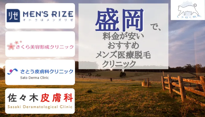 岩手県盛岡市のおすすめメンズ医療脱毛クリニック 永久脱毛可能な料金が安い全4院を徹底比較 しろねこ脱毛