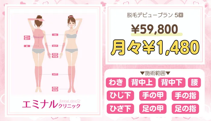 エミナルクリニック地域A脱毛デビュープラン料金