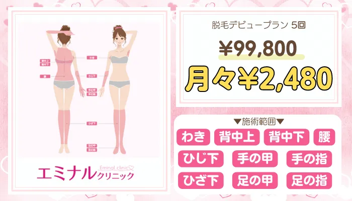 エミナルクリニック地域B脱毛デビュープラン料金