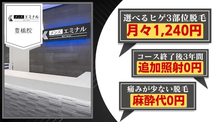 メンズエミナル豊橋比較ヒゲ