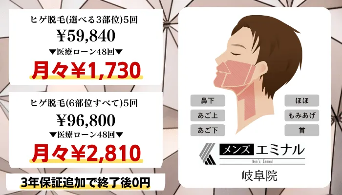 メンズエミナル岐阜比較料金ヒゲ