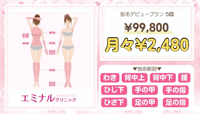 エミナルクリニック地域B限定プラン料金